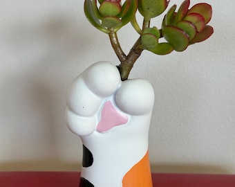 生きた多肉植物、ヒスイカズラ、またはサボテンが入ったかわいい猫の足型プランター、猫好きへのギフト、愛らしい室内植物装飾