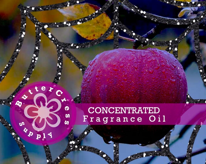 HAZELNUT COFFEE Fragrance Oil Concentrate Etsy