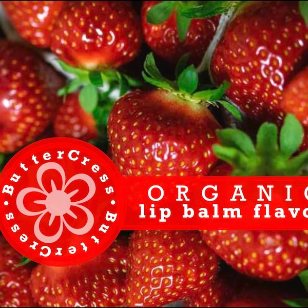 Lip Balm Flavor Oil Etsy