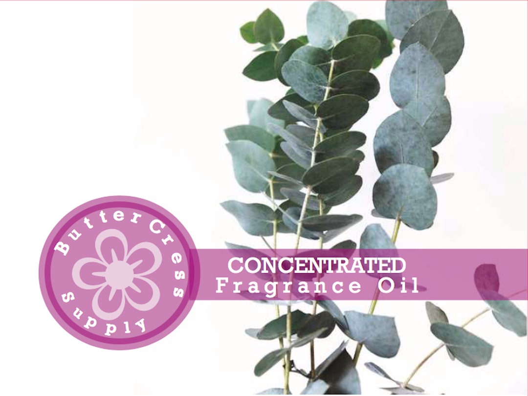 PEPPERMINT EUCALYPTUS Fragrance Oil // Choose Your Size - Etsy