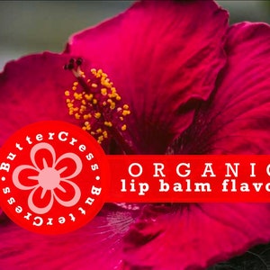 HIBISCUS Organic Lip Balm Flavor Oil | Unsweetened Lip Flavor for balms, glosses & scrubs