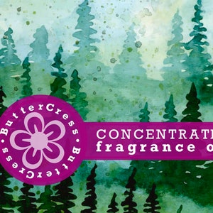 ANCIENT FIR Fragrance Oil Concentrate for lotion, scrubs, soap, candles, | home fragrance, rollerball perfume, body cream