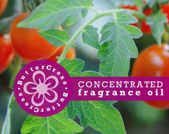 TOMATO LEAF Fragrance Oil Concentrate for lotion, scrubs, soap, candles | Bath and Body projects, home fragrance