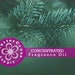 CEDAR & SMOKE Concentrated Fragrance Oil