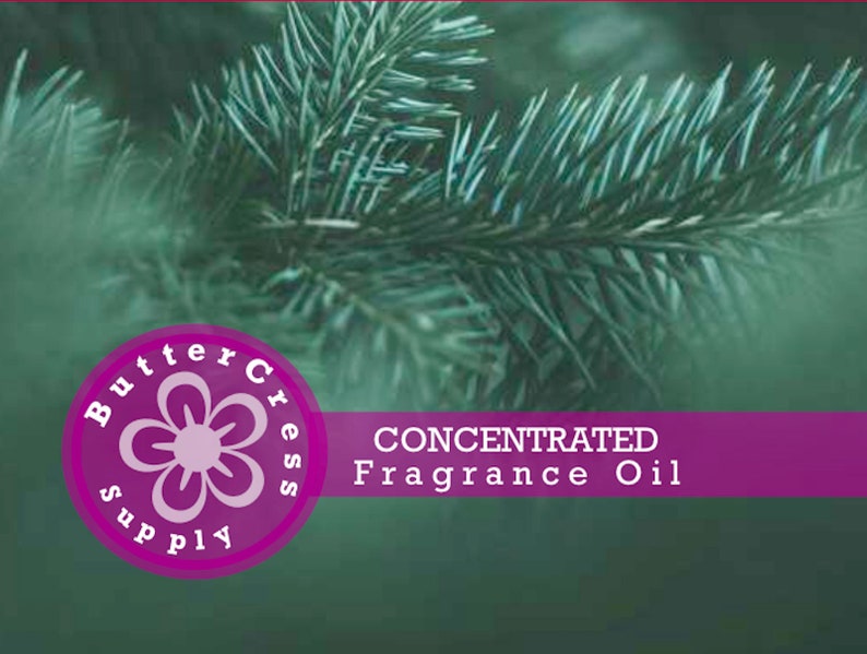 CEDAR & SMOKE Concentrated Fragrance Oil 