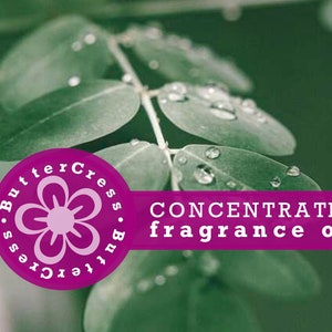 SPEARMINT RAIN Fragrance Oil Concentrate for soap, candles, bath & body, home fragrance
