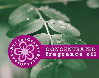 Spearmint Rain Fragrance Oil Concentrate for soap, candles, bath & body, home fragrance