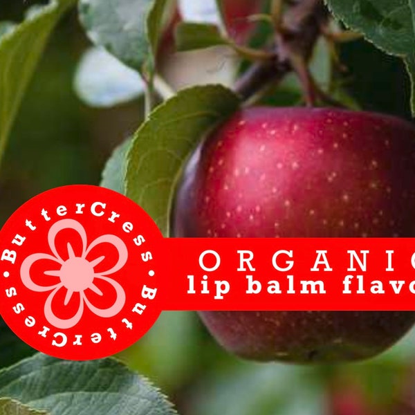 APPLE CIDER Organic Lip Balm Flavor Oil | Fresh-Pressed Cider Flavor. NO Spices /Unsweetened Lip Flavor for balms, glosses & scrubs