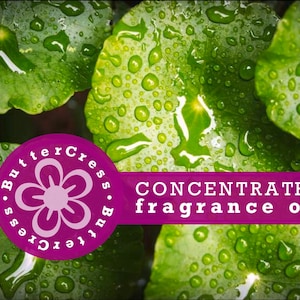 RAIN WATER Fragrance Oil Concentrate for soap, candles, bath & body, home fragrance