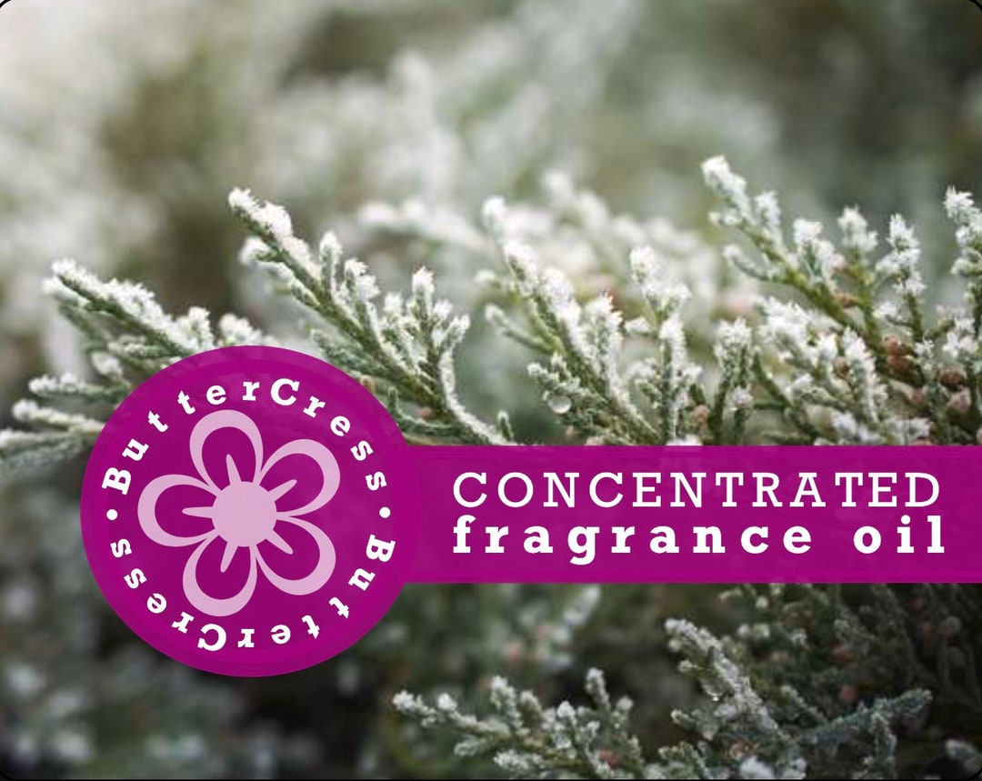 FROSTED JUNIPER Fragrance Oil Concentrate for Lotion, Scrubs, Soap
