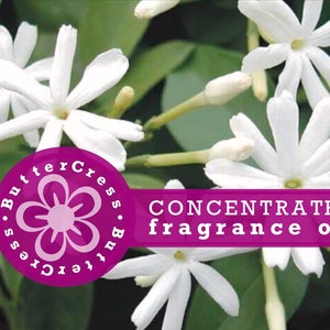 Honeysuckle Jasmine Fragrance Oil Concentrate: Floral Summer Scent