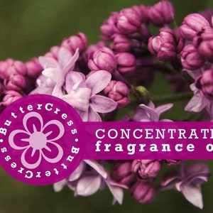 French Lilac Fragrance Oil Concentrate, Phthalate Free, Rose Carnation Sandalwood