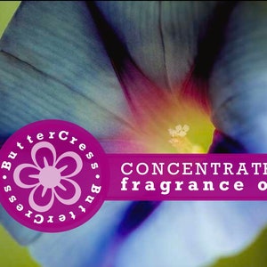 MORNING GLORY Fragrance Oil Concentrate for soap, home and linen spray, candles, perfume, bath & body