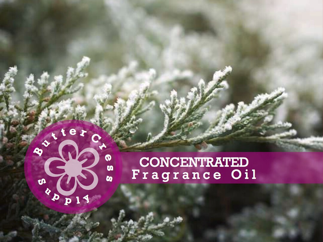FROSTED JUNIPER Fragrance Oil Concentrate Etsy