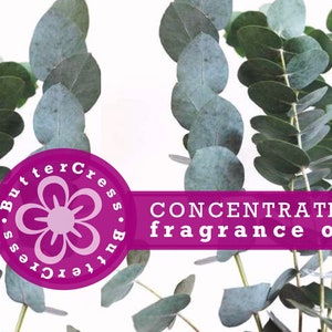 ペパーミントユーカリプタスフレグランスオイル濃縮物（石鹸、キャンドル、バス＆ボディ、ホームフレグランス用）