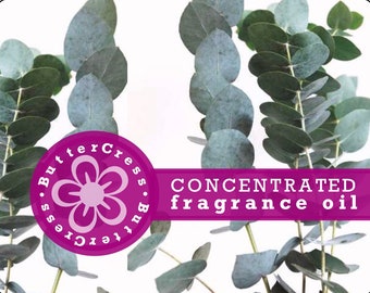 Peppermint Eucalyptus Fragrance Oil Concentrate for soap, candles, bath & body, home fragrance