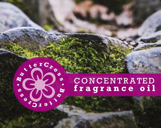 HAZELNUT COFFEE Fragrance Oil Concentrate Etsy