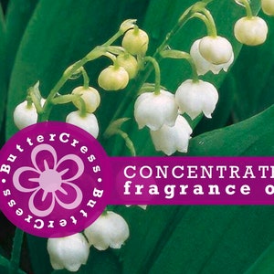 MUGUET en MAI Lily of the Valley Fragrance Oil Concentrate for lotion, scrubs, soap, candles, | rollerball perfume, body cream