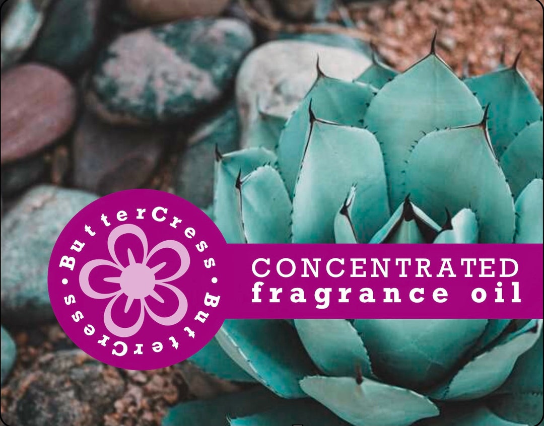 BLUE AGAVA & CACAO Fragrance Oil Concentrate Ready to Ship Etsy