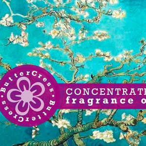 ALMOND WOOD & SHEA Fragrance Oil Concentrate for lotion, scrubs, soap, candles, bath and body