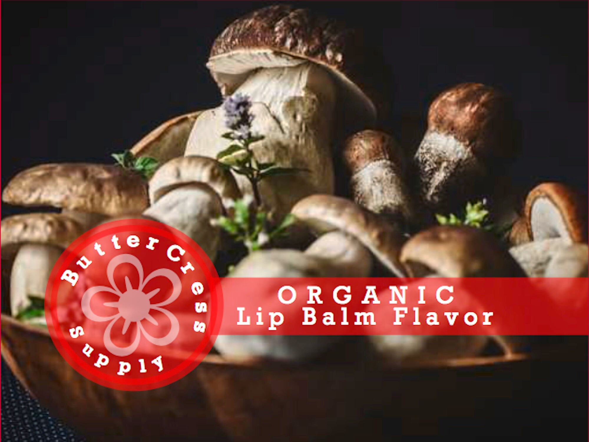 MUSHROOM Organic Lip Balm Flavor Oil Unsweetened Lip Flavor Etsy