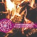 FIRESIDE Fragrance Oil Concentrate