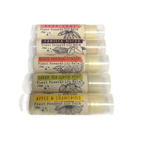 Hyaluronic Acid Lip Balm, Vegan Lip Balm, Natural Lip Balm, Dry Lips, Rose Lip Balm,  Blood Orange Ginger, Vanilla Mocha