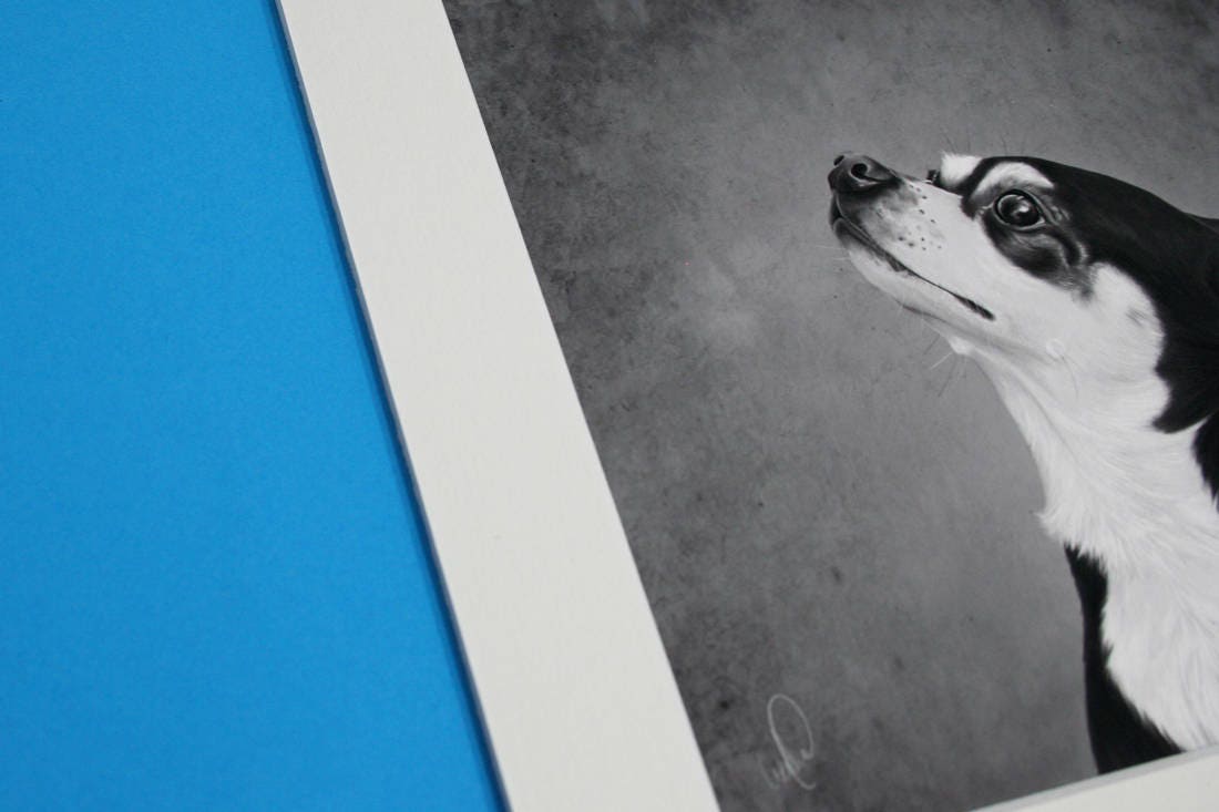 Chihuahua Art Print, Hand Drawn Black and White Portrait of Cute Rescue ...