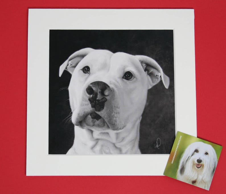 American Bulldog Art Print Hand Drawn Black And White Etsy