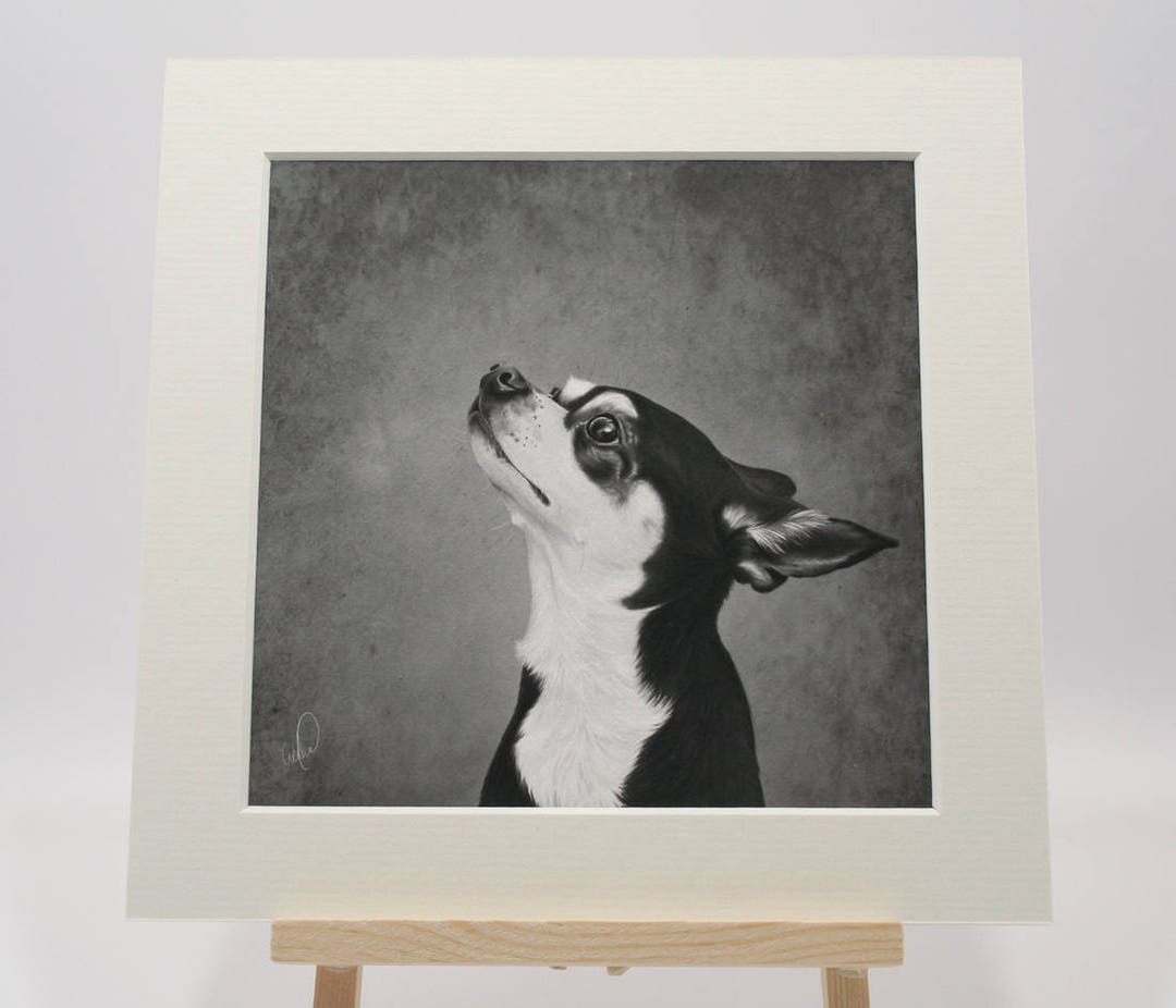 Chihuahua Art Print, Hand Drawn Black and White Portrait of Cute Rescue ...