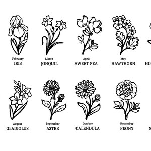 Puede incluir: Dibujos lineales en blanco y negro de doce flores diferentes, cada una representando un mes del a&ntilde;o. Las flores incluyen clavel, iris, junquillo, guisante de olor, espino, madreselva, nen&uacute;far, gladiolo, aster, cal&eacute;ndula, peon&iacute;a y narciso.