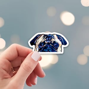 May include: A sticker featuring a close-up of a pug's face. The pug has black fur around its eyes and a light brown snout.