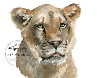 African Lion Original Watercolor Painting - 5x5 Erie PA Zoo Animal Wall Art - All Proceeds Donated - Painted Lioness Art