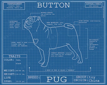 Pug blueprint art | Etsy