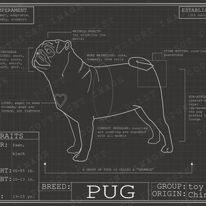 Pug Dog Breed Blueprint Custom Pet Portrait Poster Blue Print Canvas Wall Art Pet Drawing Funny Portrait Print Animal Lover Puggle Gift Black