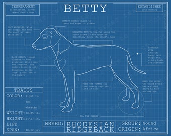 Rhodesian Ridgeback Dog Breed Blueprint Custom Pet Portrait Poster Blue Print Canvas Wall Art Pet Drawing Funny Print Animal Lover Gift