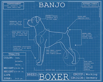 Dog Breed Blueprint Custom Pet Portrait - Boxer Puppy Poster Blue Print Canvas Wall Art Pet Drawing Funny Portrait Print Animal Lover Gift