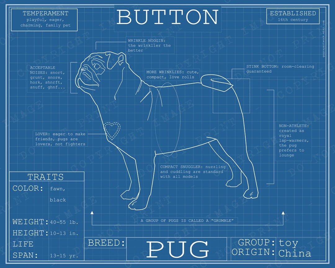 Pug Dog Breed Blueprint Custom Pet Portrait Poster Blue Print Canvas ...