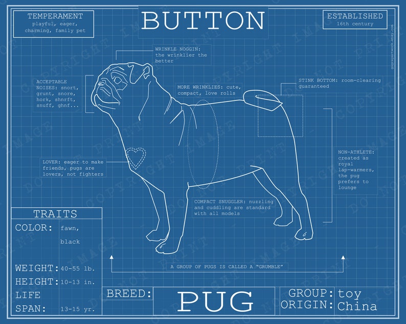 Pug Dog Breed Blueprint Custom Pet Portrait Poster Blue Print Canvas Wall Art Pet Drawing Funny Portrait Print Animal Lover Puggle Gift Blue