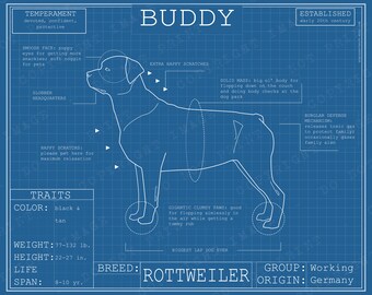 Dog Breed Blueprint Custom Pet Portrait Rottweiler Poster Blue Print Canvas Wall Art Pet Drawing Funny Portrait Print Animal Lover Gift