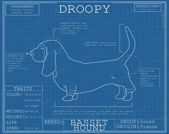 Basset Hound Dog Breed Blueprint Custom Pet Portrait Poster Blue Print Canvas Wall Art Drawing Funny Portrait Print Animal Lover Gift