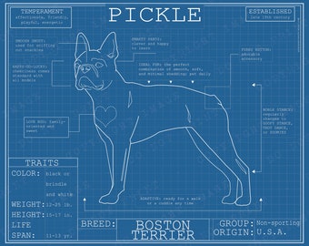 Boston Terrier Dog Breed Blueprint Custom Pet Portrait Poster Blue Print Canvas Wall Art Pet Drawing Funny Portrait Print Animal Lover Gift