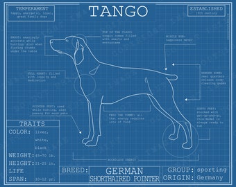 Dog Breed Blueprint Custom Pet Portrait - German Shorthaired Pointer Poster Blue Print Canvas Wall Art Pet Drawing Animal GSP Lover Gift