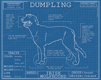 Irish Wolfhound Dog Breed Blueprint Custom Pet Portrait Poster Blue Print Canvas Wall Art Pet Drawing Funny Portrait Print Animal Lover Gift