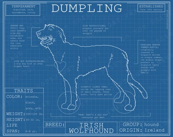 Irish Wolfhound Dog Breed Blueprint Custom Pet Portrait Poster Blue Print Canvas Wall Art Pet Drawing Funny Portrait Print Animal Lover Gift