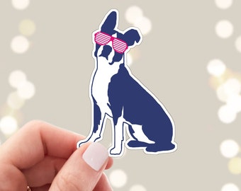 Boston Terrier with Shutter Glasses Sticker - Die Cut Vinyl, Weather Proof, Water Resistant, Cute Dog Funny Water Bottle Sticker, Laptop Art