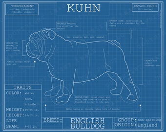 Dog Breed Blueprint Custom Pet Portrait English Bulldog Poster Blue Print Canvas Wall Art Pet Drawing Funny Portrait Print Animal Lover Gift