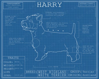 West Highland Terrier Dog Breed Blueprint Custom Pet Portrait Poster Blue Print Canvas Wall Art Pet Drawing Funny Print Animal Lover Gift