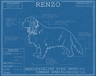 Dog Breed Blueprint Custom Pet Portrait Cavalier King Charles Spaniel Poster Blue Print Canvas Wall Art Drawing Funny Cavie Lover Gift