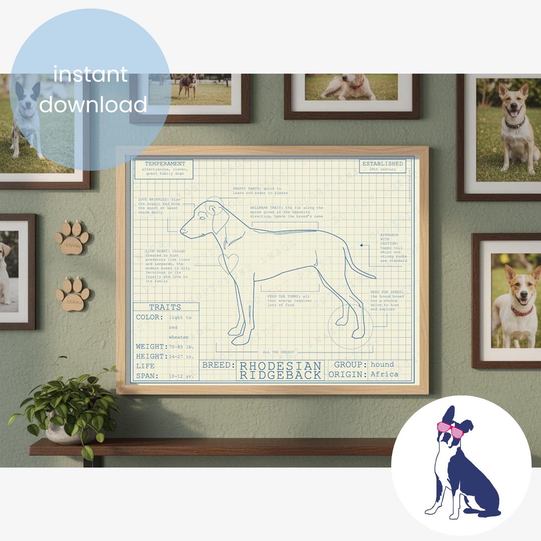 Rhodesian Ridgeback Blueprint Art Print: Funny Dog Portrait (digital ...